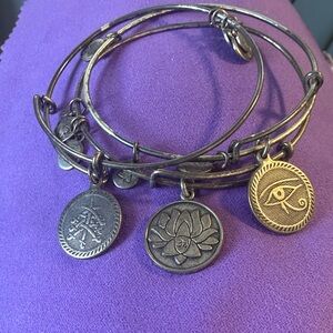 Alex and Ani Antique Silver and Gold Charm Bangle Set on Purple